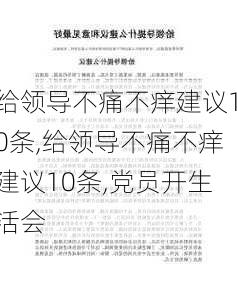 给领导不痛不痒建议10条,给领导不痛不痒建议10条,党员开生活会-第3张图片-星梦范文网