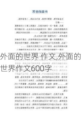 外面的世界 作文,外面的世界作文600字-第2张图片-星梦范文网