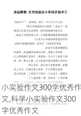 小实验作文300字优秀作文,科学小实验作文300字优秀作文-第2张图片-星梦范文网