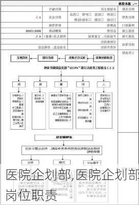 医院企划部,医院企划部岗位职责-第1张图片-星梦范文网