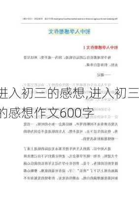 进入初三的感想,进入初三的感想作文600字-第2张图片-星梦范文网