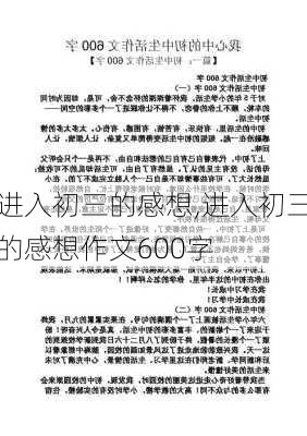 进入初三的感想,进入初三的感想作文600字-第3张图片-星梦范文网