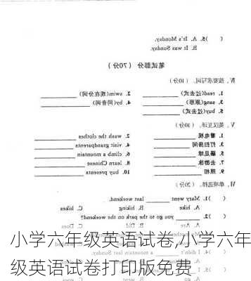 小学六年级英语试卷,小学六年级英语试卷打印版免费-第3张图片-星梦范文网