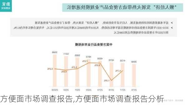 方便面市场调查报告,方便面市场调查报告分析-第1张图片-星梦范文网