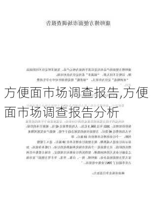 方便面市场调查报告,方便面市场调查报告分析-第2张图片-星梦范文网