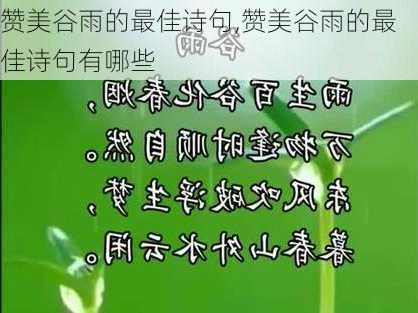 赞美谷雨的最佳诗句,赞美谷雨的最佳诗句有哪些-第2张图片-星梦范文网