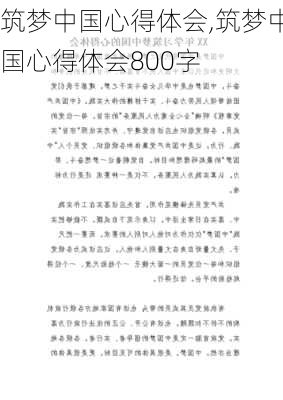 筑梦中国心得体会,筑梦中国心得体会800字-第1张图片-星梦范文网