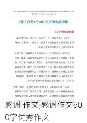 感谢 作文,感谢作文600字优秀作文-第3张图片-星梦范文网