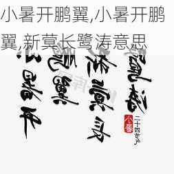 小暑开鹏翼,小暑开鹏翼,新蓂长鹭涛意思