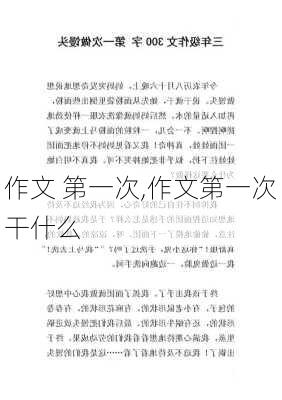 作文 第一次,作文第一次干什么-第3张图片-星梦范文网