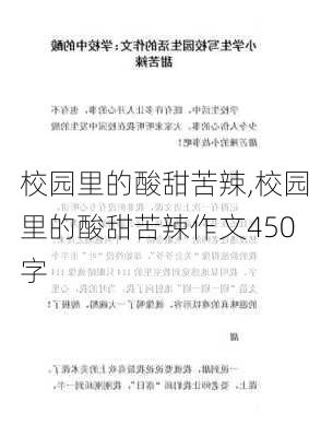 校园里的酸甜苦辣,校园里的酸甜苦辣作文450字-第2张图片-星梦范文网