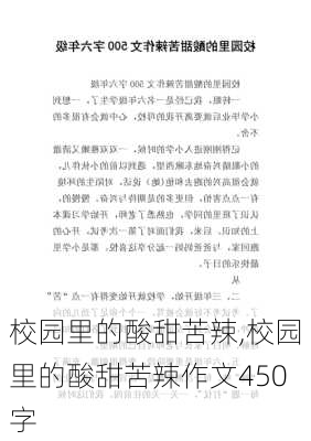 校园里的酸甜苦辣,校园里的酸甜苦辣作文450字-第3张图片-星梦范文网