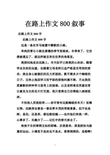 在路上 高中作文,在路上高中作文800字-第2张图片-星梦范文网