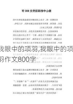 我眼中的项羽,我眼中的项羽作文800字