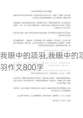 我眼中的项羽,我眼中的项羽作文800字-第3张图片-星梦范文网