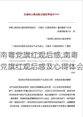 南粤党旗红观后感,南粤党旗红观后感及心得体会-第3张图片-星梦范文网