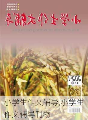 小学生作文辅导,小学生作文辅导刊物-第1张图片-星梦范文网