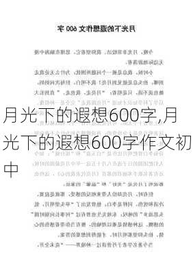 月光下的遐想600字,月光下的遐想600字作文初中-第3张图片-星梦范文网