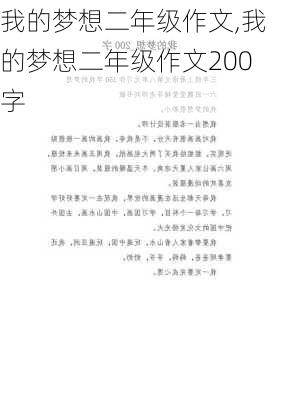 我的梦想二年级作文,我的梦想二年级作文200字