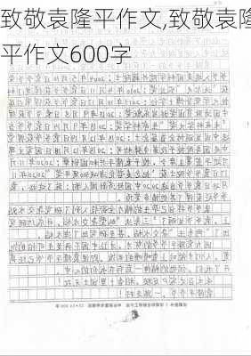 致敬袁隆平作文,致敬袁隆平作文600字