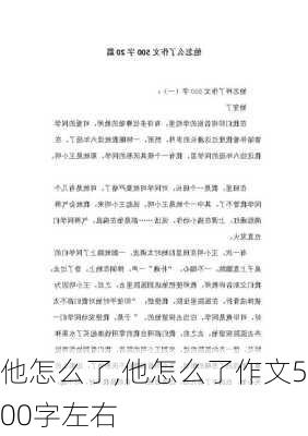 他怎么了,他怎么了作文500字左右