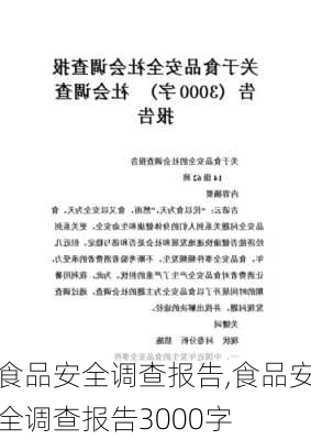 食品安全调查报告,食品安全调查报告3000字-第2张图片-星梦范文网