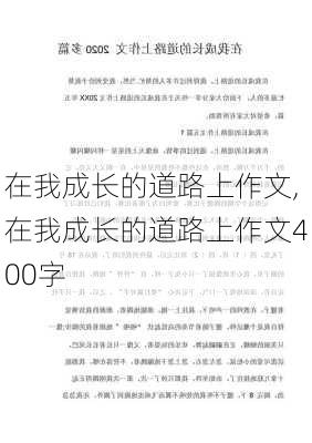 在我成长的道路上作文,在我成长的道路上作文400字-第3张图片-星梦范文网