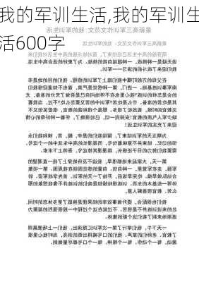 我的军训生活,我的军训生活600字-第2张图片-星梦范文网