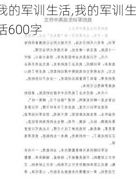 我的军训生活,我的军训生活600字-第3张图片-星梦范文网