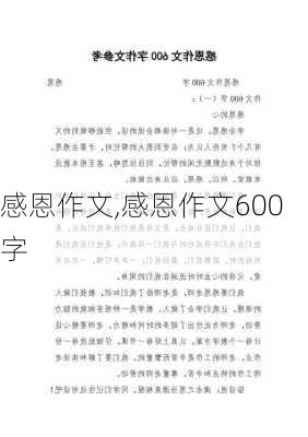 感恩作文,感恩作文600字