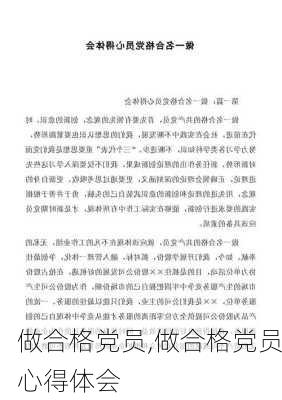 做合格党员,做合格党员心得体会-第2张图片-星梦范文网