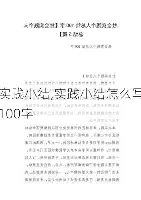 实践小结,实践小结怎么写100字