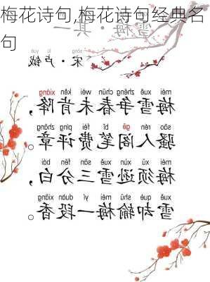 梅花诗句,梅花诗句经典名句