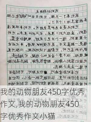 我的动物朋友450字优秀作文,我的动物朋友450字优秀作文小猫