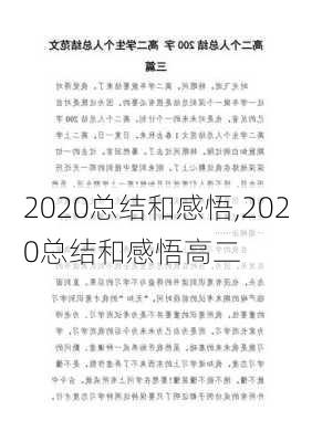 2020总结和感悟,2020总结和感悟高二-第3张图片-星梦范文网