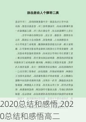 2020总结和感悟,2020总结和感悟高二-第2张图片-星梦范文网