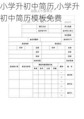 小学升初中简历,小学升初中简历模板免费-第3张图片-星梦范文网