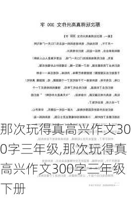 那次玩得真高兴作文300字三年级,那次玩得真高兴作文300字三年级下册-第2张图片-星梦范文网