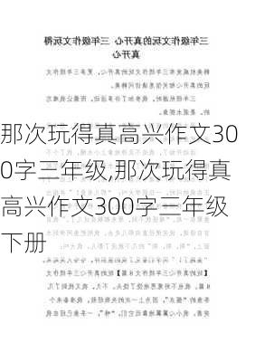 那次玩得真高兴作文300字三年级,那次玩得真高兴作文300字三年级下册-第3张图片-星梦范文网