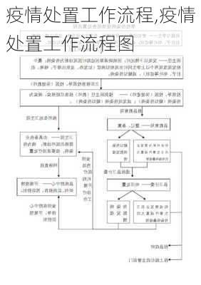 疫情处置工作流程,疫情处置工作流程图