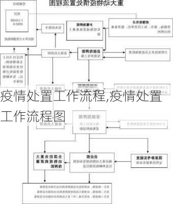 疫情处置工作流程,疫情处置工作流程图-第2张图片-星梦范文网