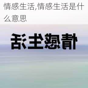 情感生活,情感生活是什么意思