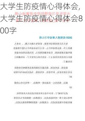 大学生防疫情心得体会,大学生防疫情心得体会800字-第3张图片-星梦范文网