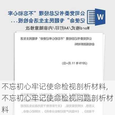 不忘初心牢记使命检视剖析材料,不忘初心牢记使命检视问题剖析材料-第3张图片-星梦范文网