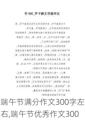 端午节满分作文300字左右,端午节优秀作文300-第3张图片-星梦范文网