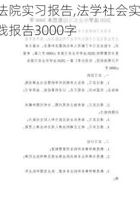 法院实习报告,法学社会实践报告3000字