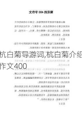 杭白菊导游词,杭白菊介绍作文400-第2张图片-星梦范文网