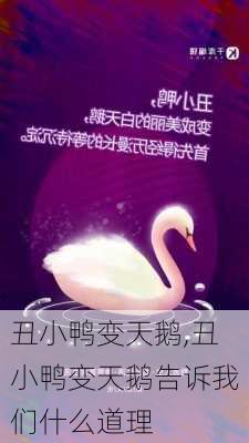 丑小鸭变天鹅,丑小鸭变天鹅告诉我们什么道理-第3张图片-星梦范文网