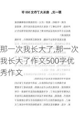 那一次我长大了,那一次我长大了作文500字优秀作文-第1张图片-星梦范文网