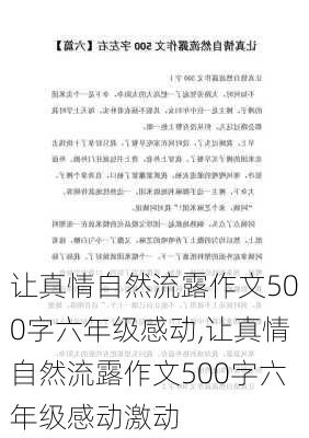 让真情自然流露作文500字六年级感动,让真情自然流露作文500字六年级感动激动-第1张图片-星梦范文网